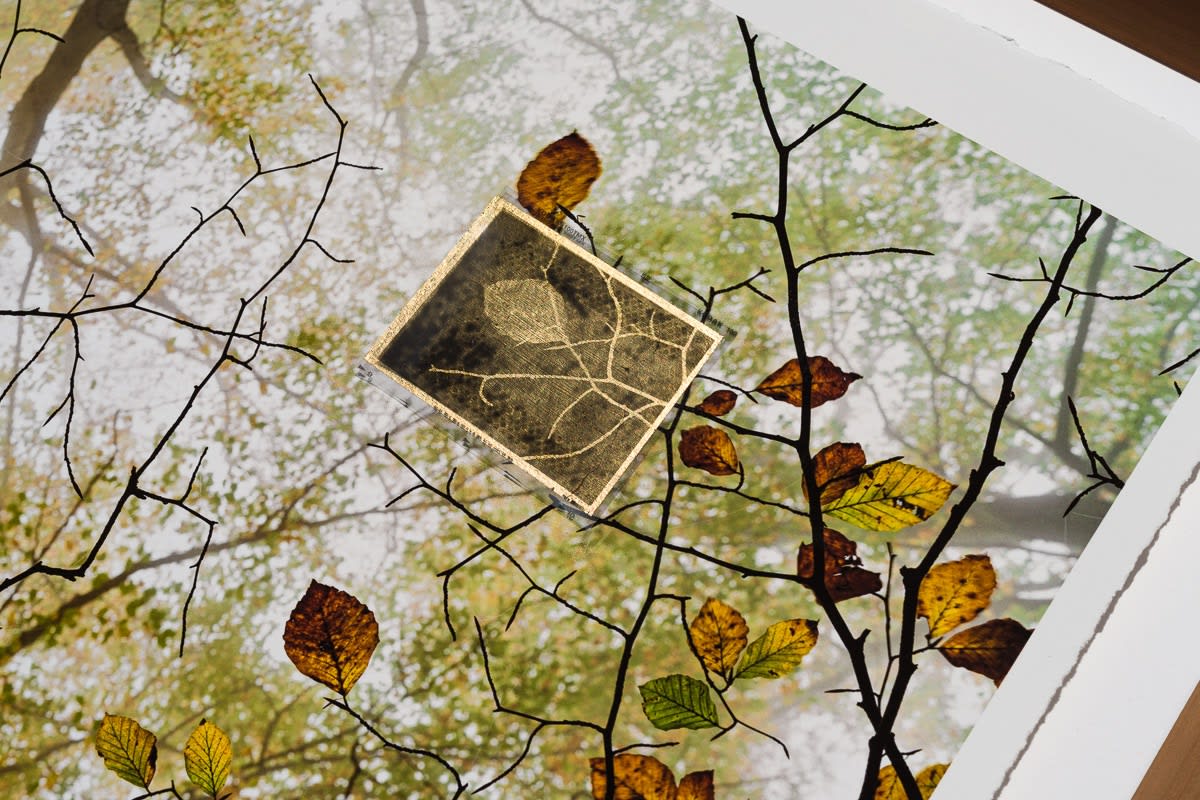 Jacques Pion, Intimus, 2022-2024