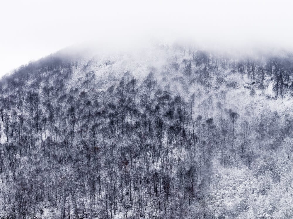 Jacques Pion, Intimus, 2022-2024