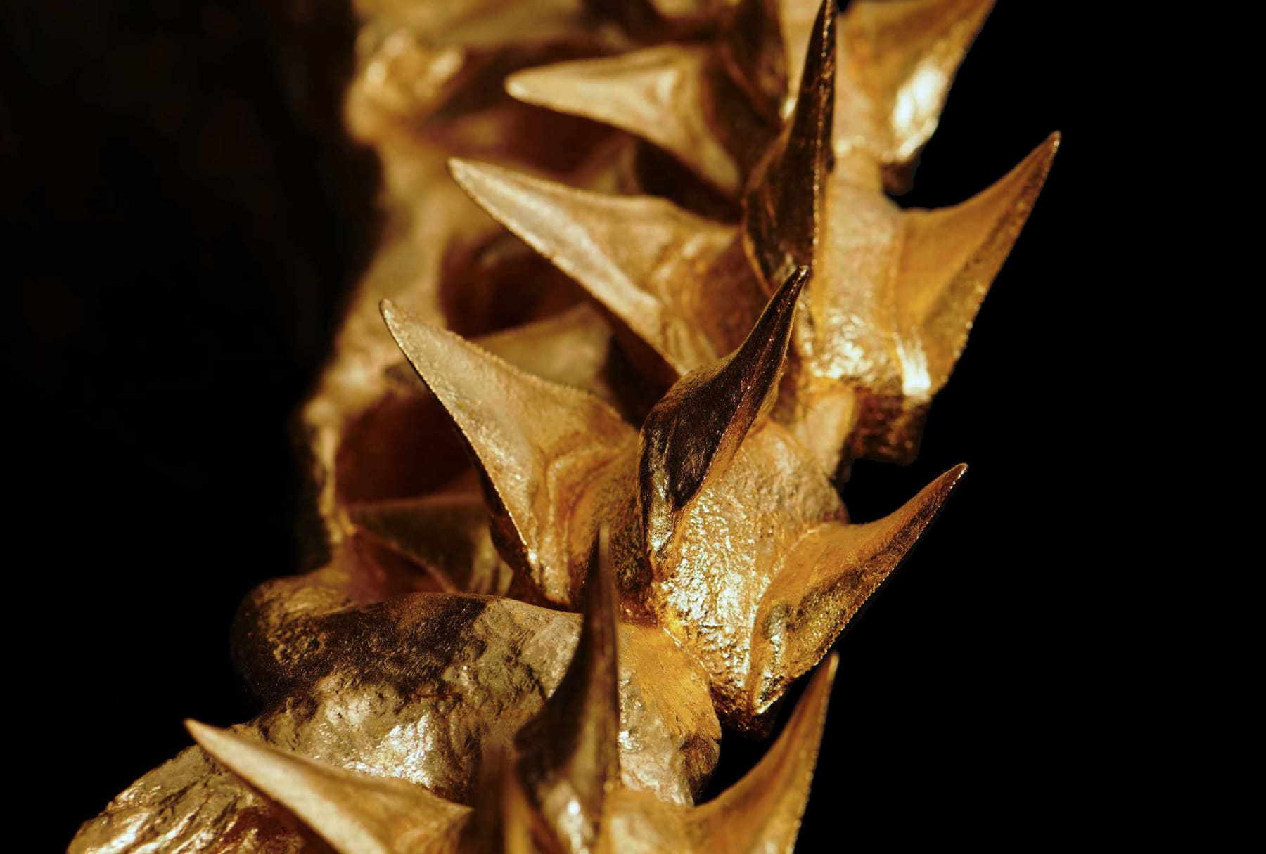 Nic Phillipson, ARTICLE I, 2023