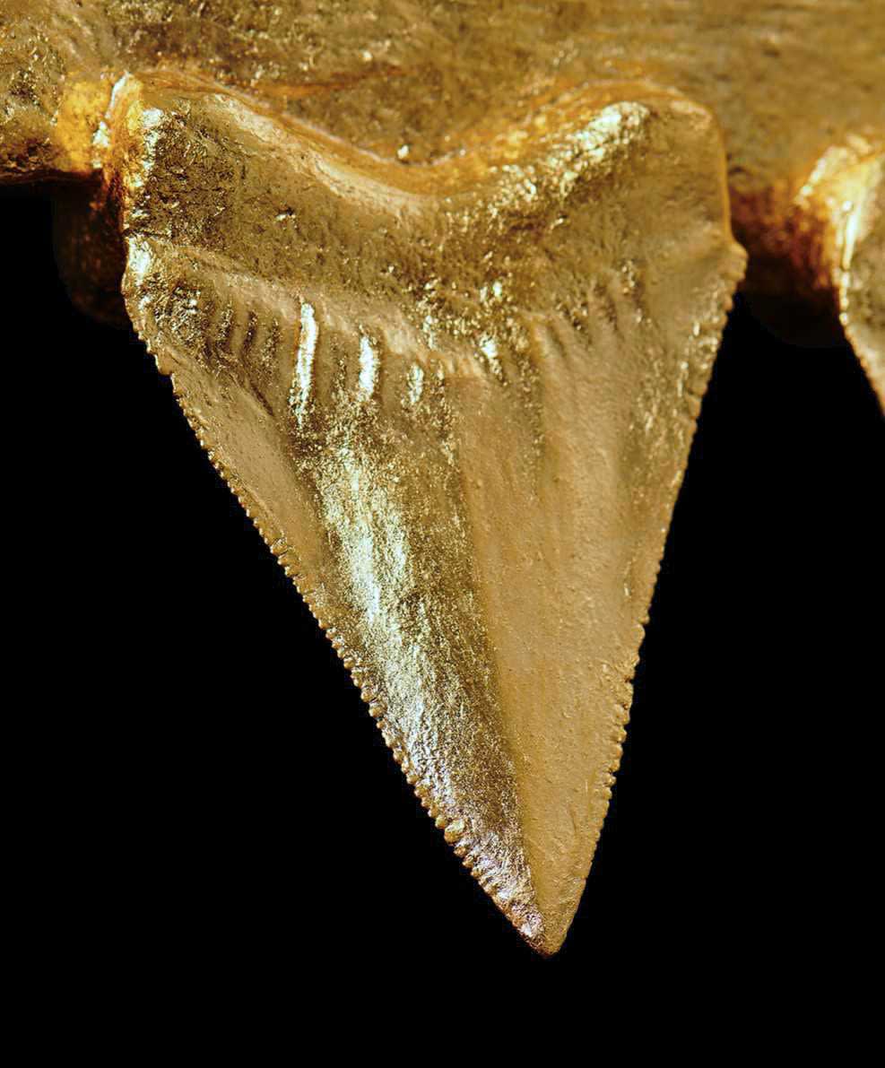 Nic Phillipson, ARTICLE I, 2023