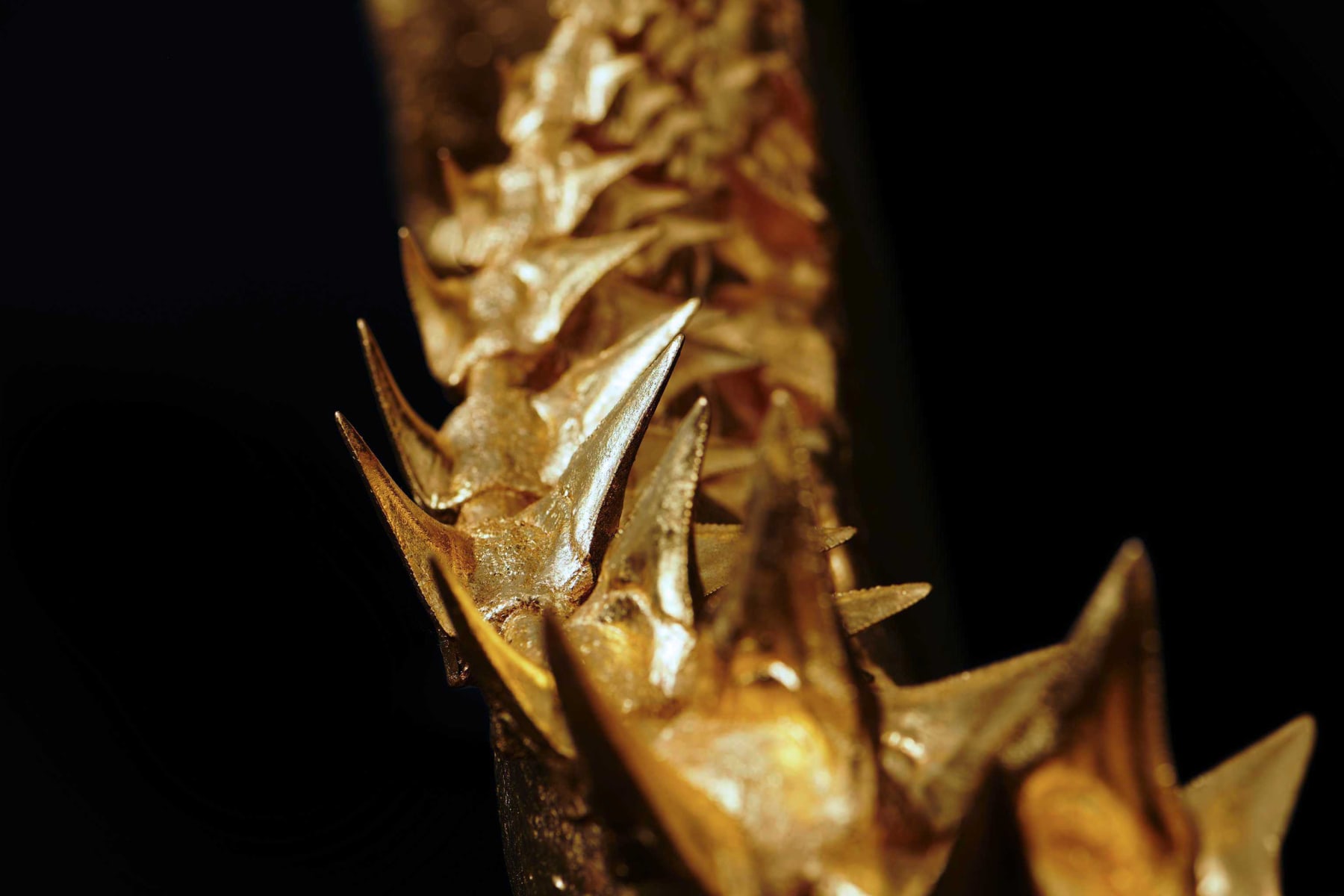 Nic Phillipson, ARTICLE I, 2023