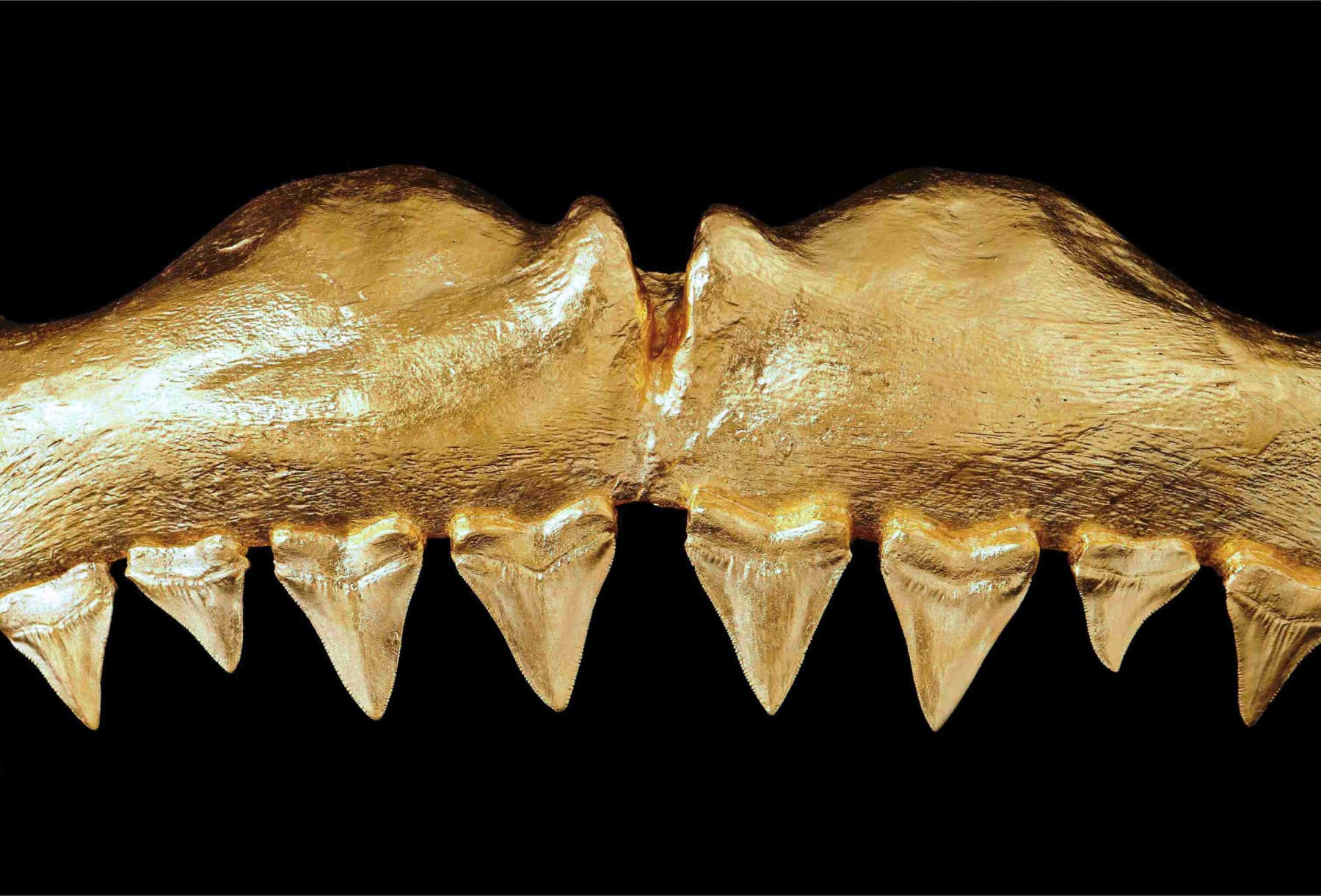 Nic Phillipson, ARTICLE I, 2023