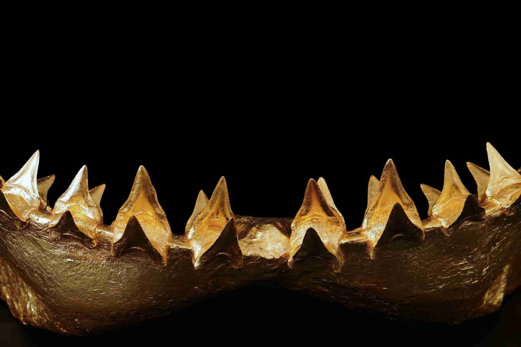 Nic Phillipson, ARTICLE I, 2023