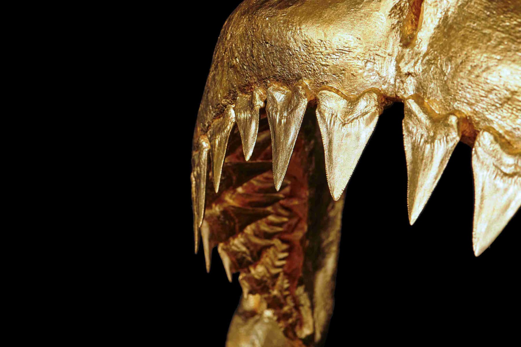 Nic Phillipson, ARTICLE I, 2023