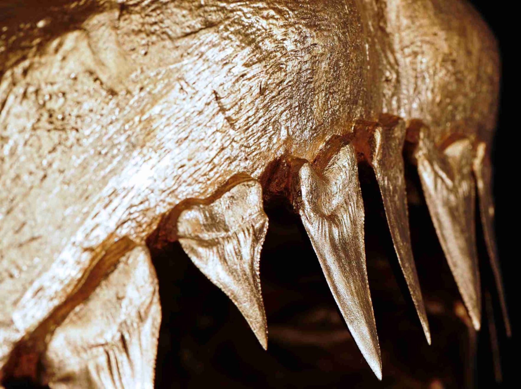 Nic Phillipson, ARTICLE I, 2023