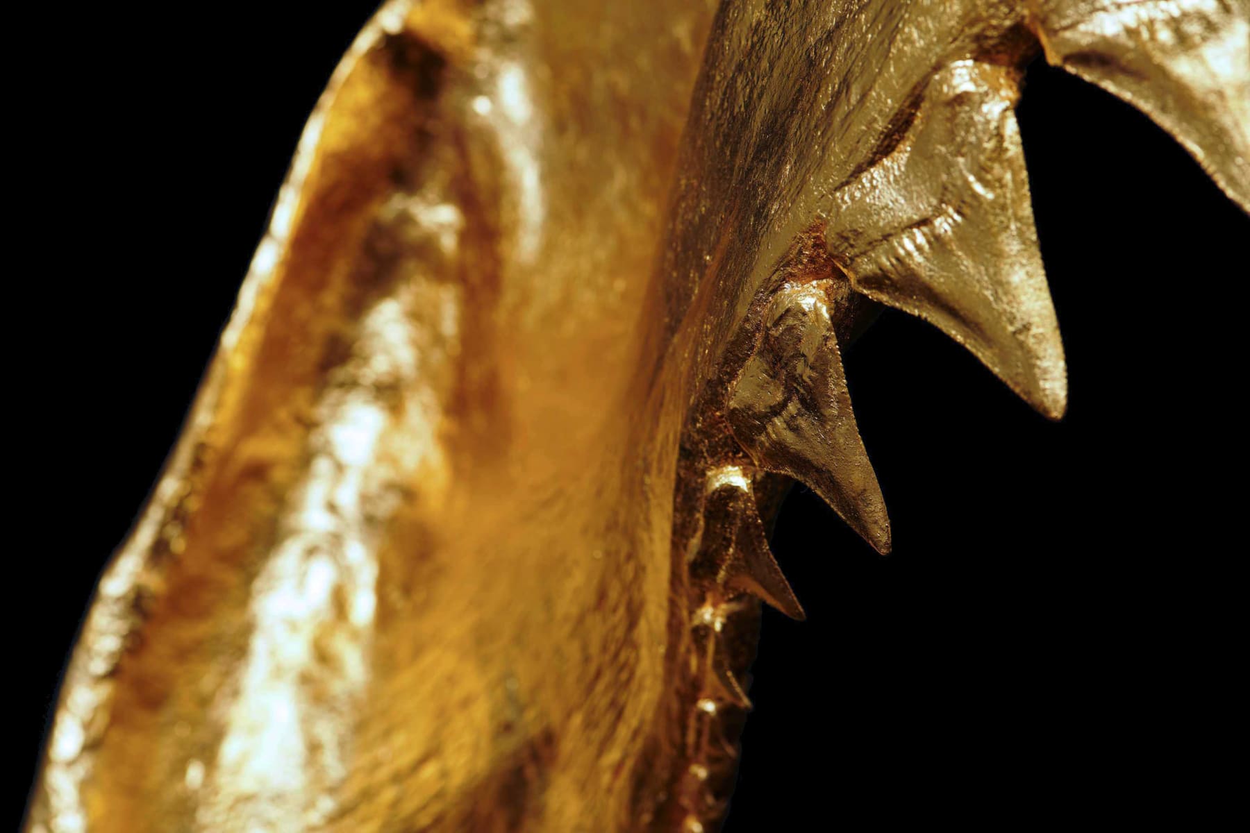 Nic Phillipson, ARTICLE I, 2023