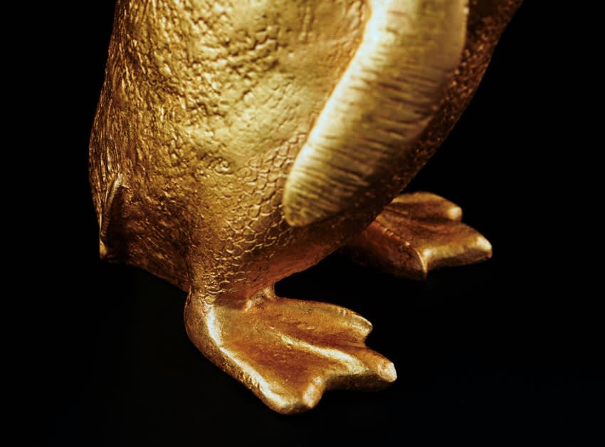Feet detail of Article 4, a 2023 sculpture by Nic Phillipson, featuring a replica Little Penguin gilded with 24 karat gold