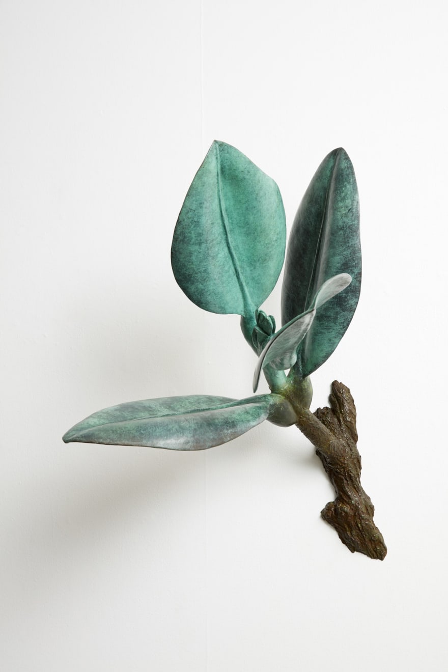 Jim Wheeler, Pohutukawa - Matariki, 2020