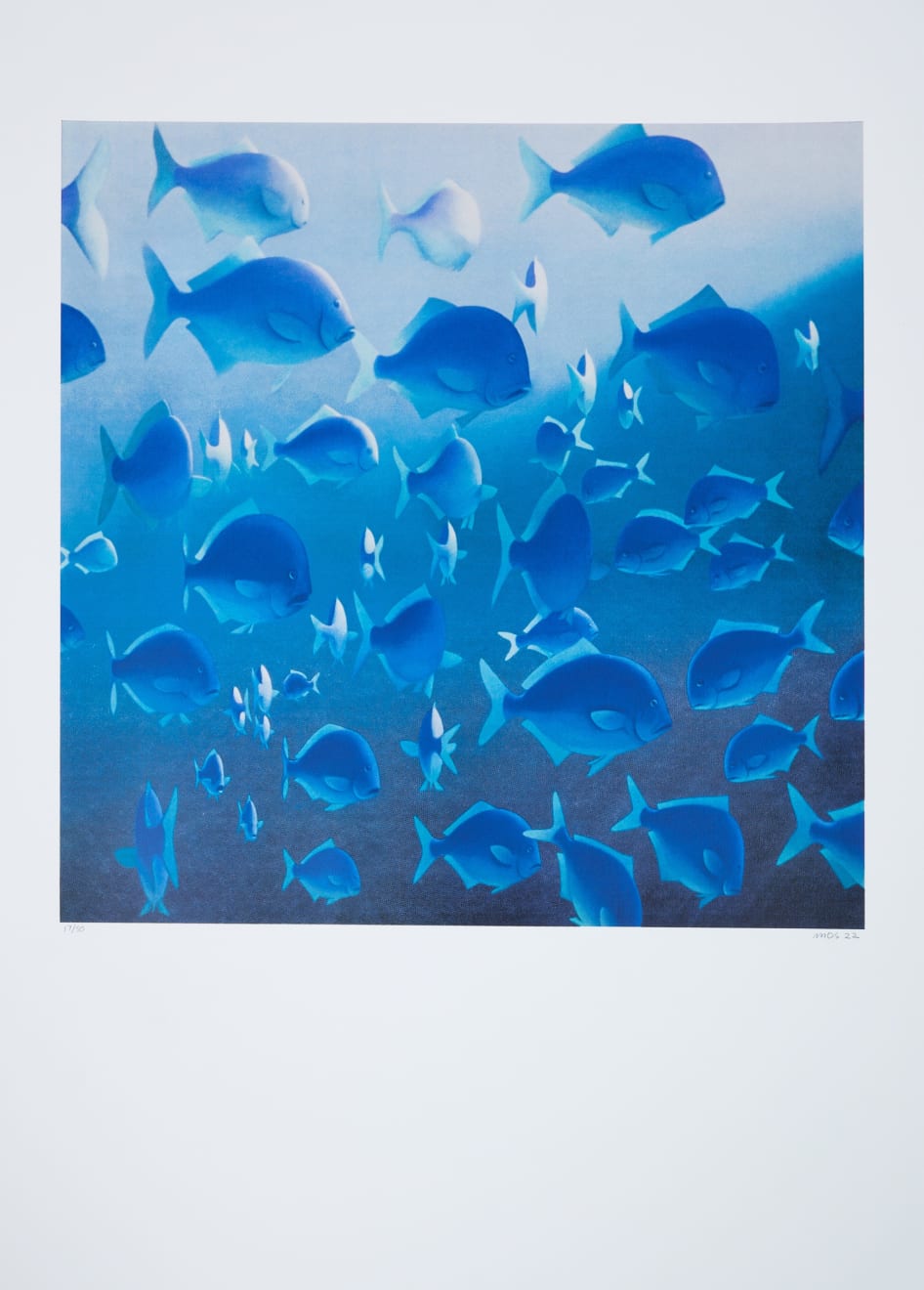 Michael Smither, Blue Maomao, 2022