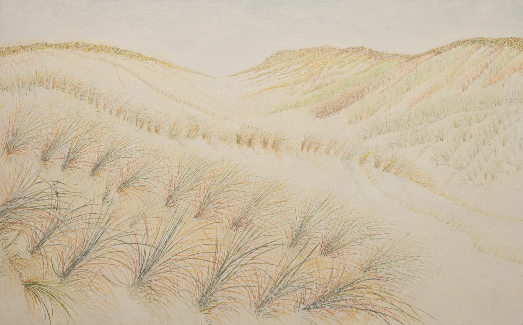 Aroha Gossage, Pakiri Dunes, 2024