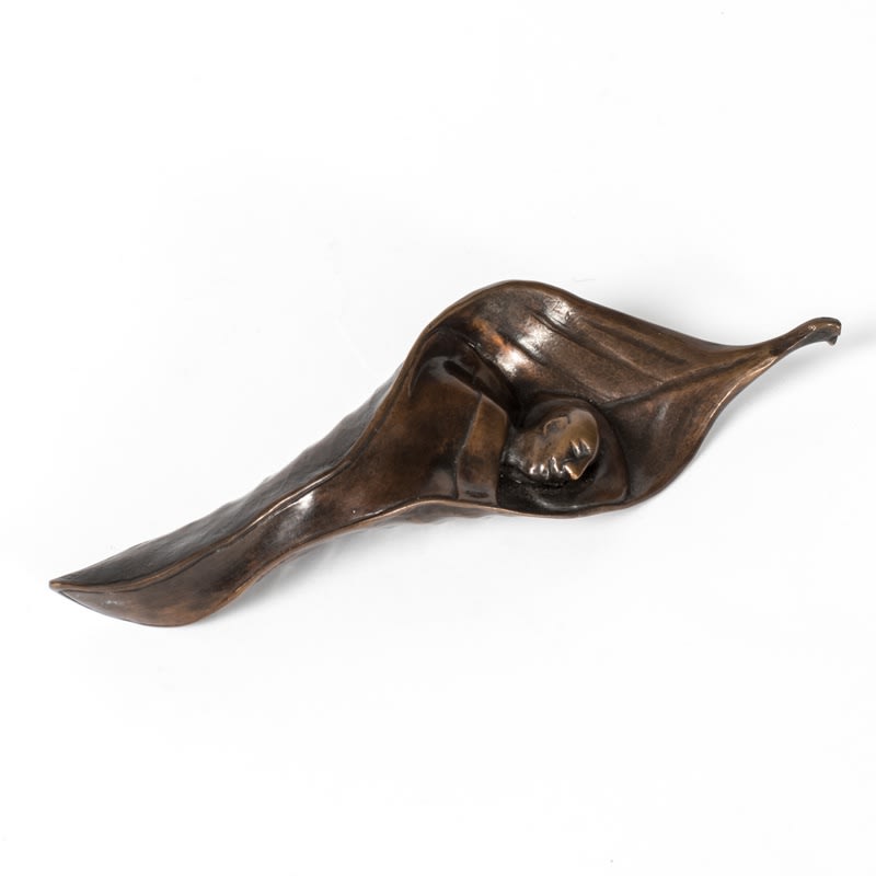 Marian Fountain, Shelter, 2008