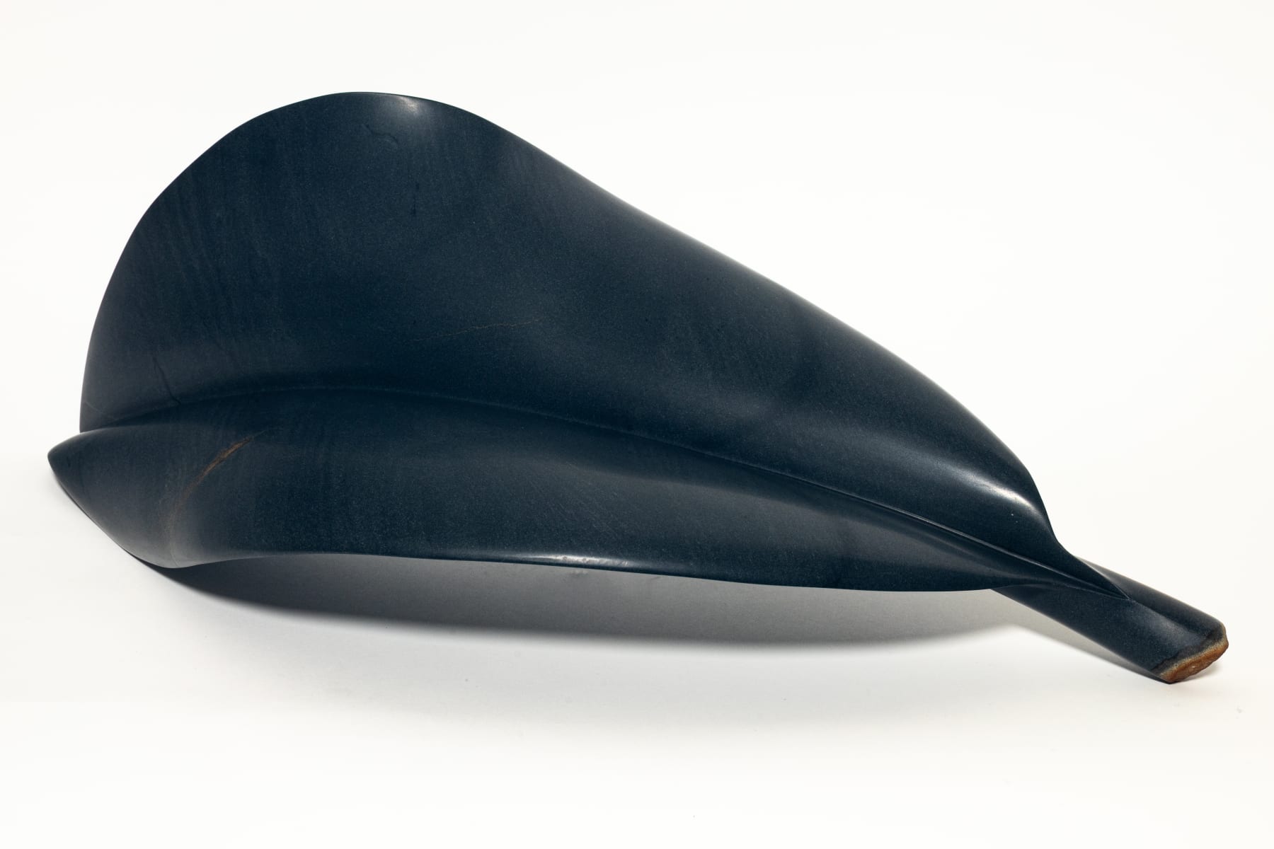 Josh Olley, New Leaves, 2025