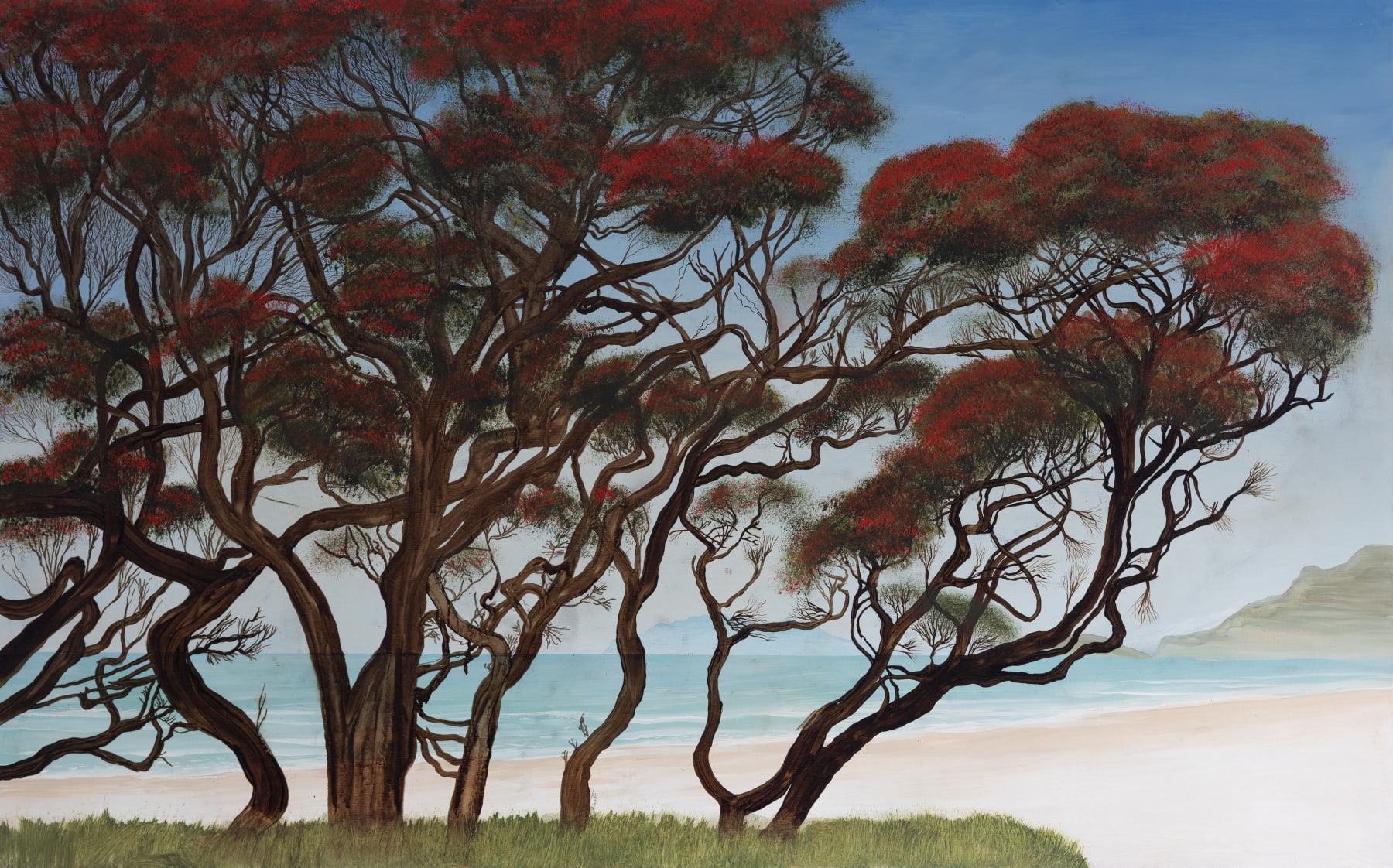 Aroha Gossage, Pakiri Pohutukawa, 2025