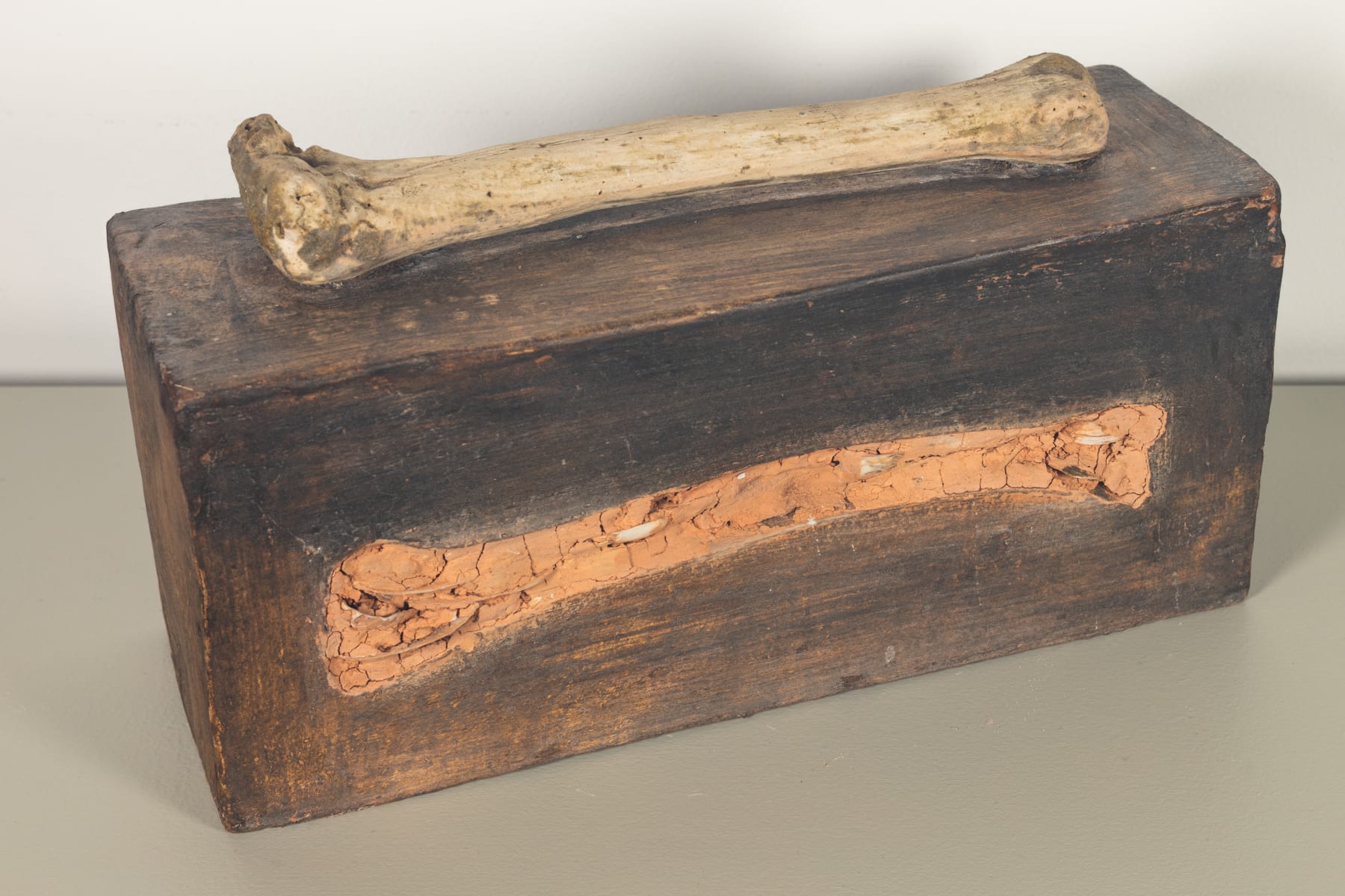 Bronwynne Cornish, No Moa, 2003