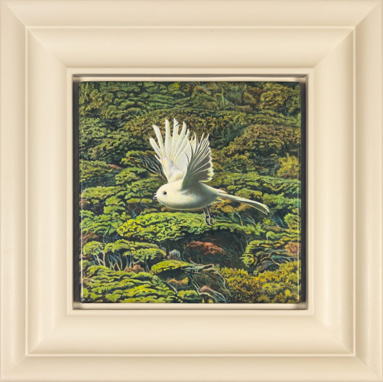 Hamish Foote , Pīwakawaka, 2025