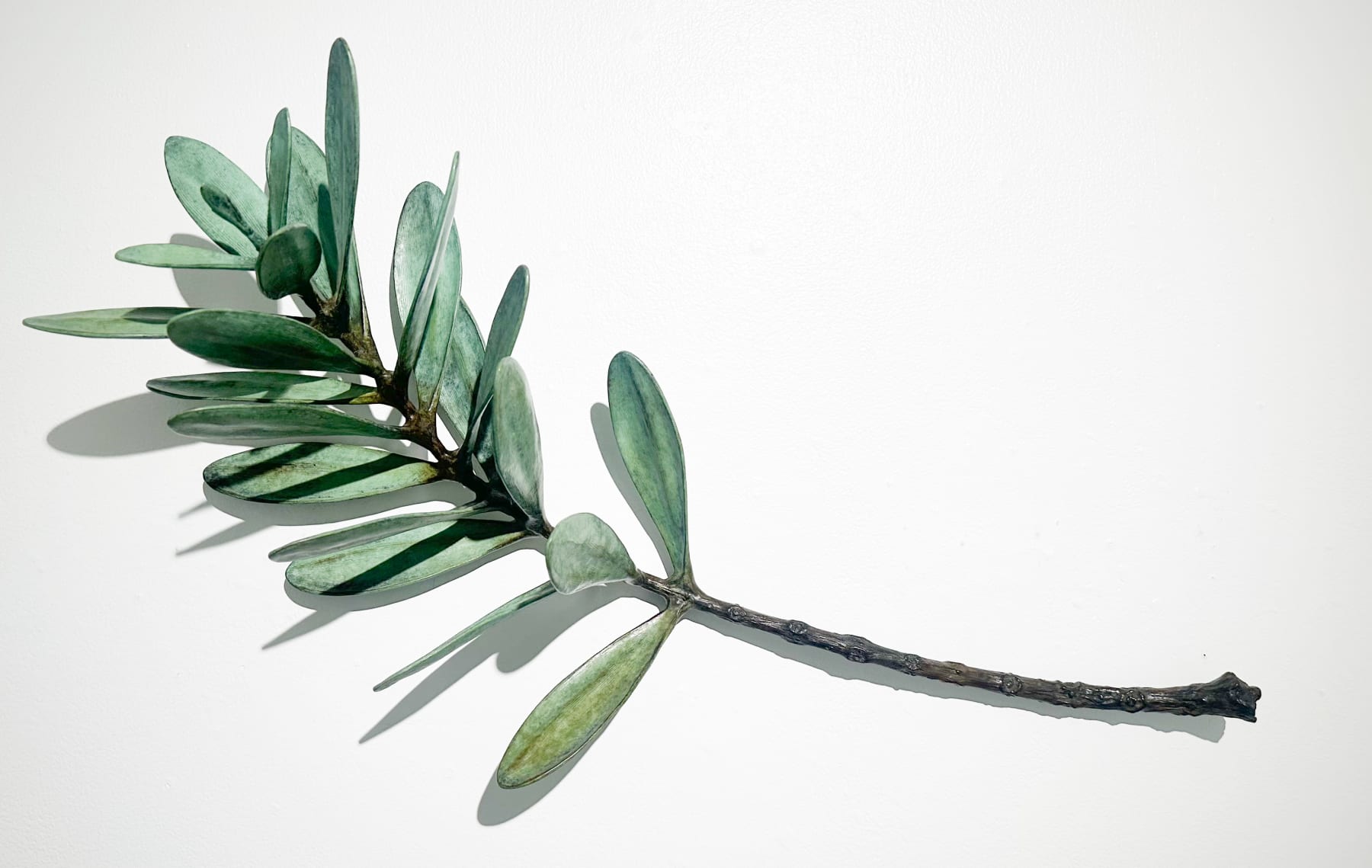 Jim Wheeler, Windfall Kauri , 2025