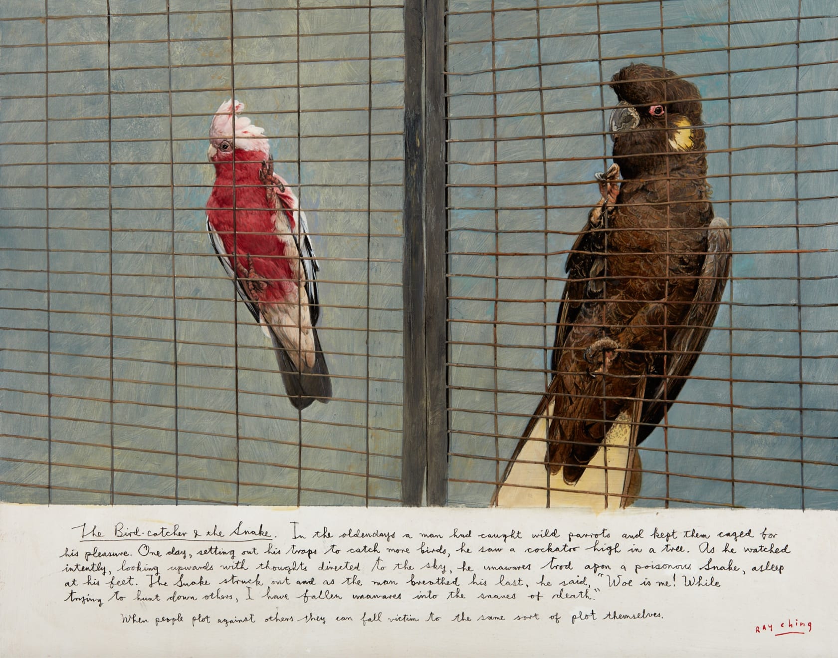 Ray Ching, The Bird-catcher & the Snake, 2017