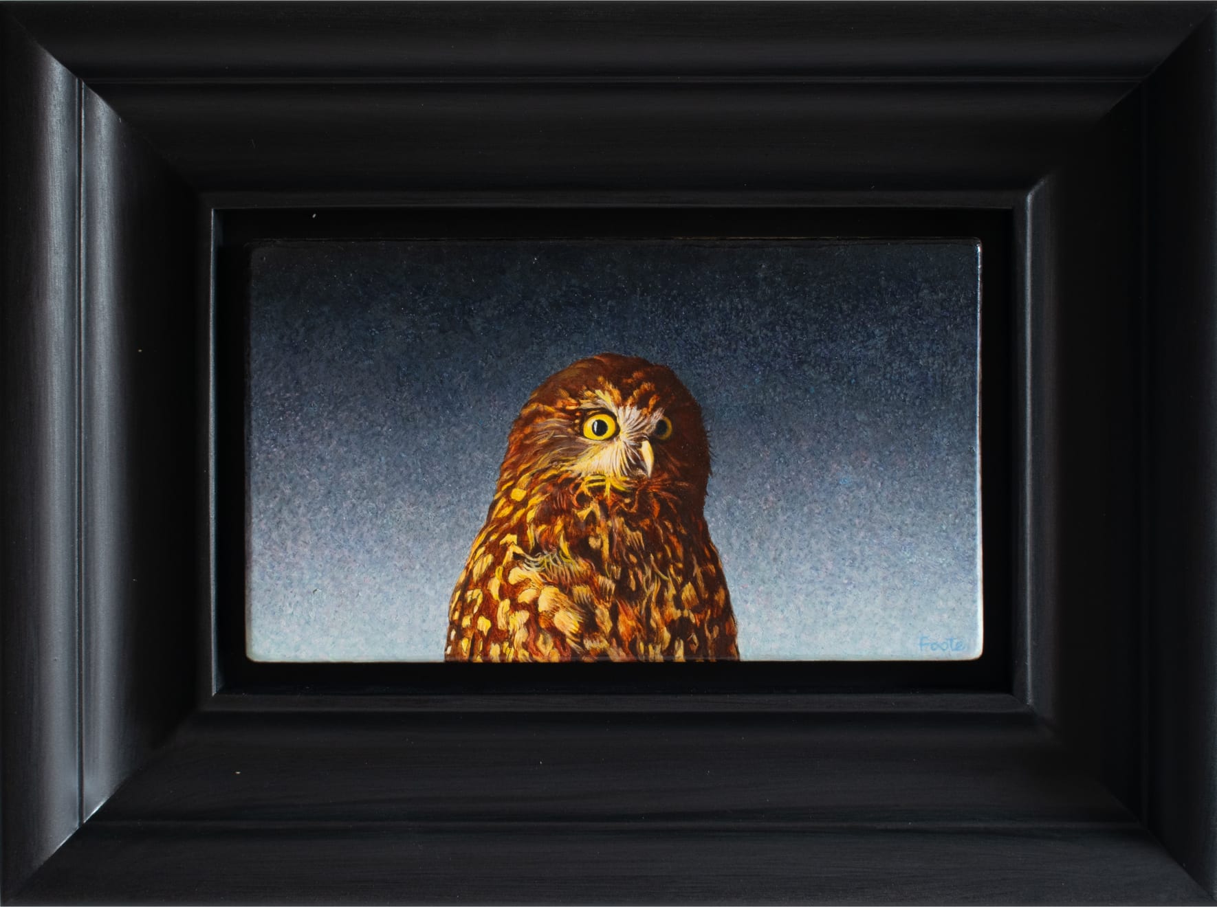 Hamish Foote , Ruru IV, 2024