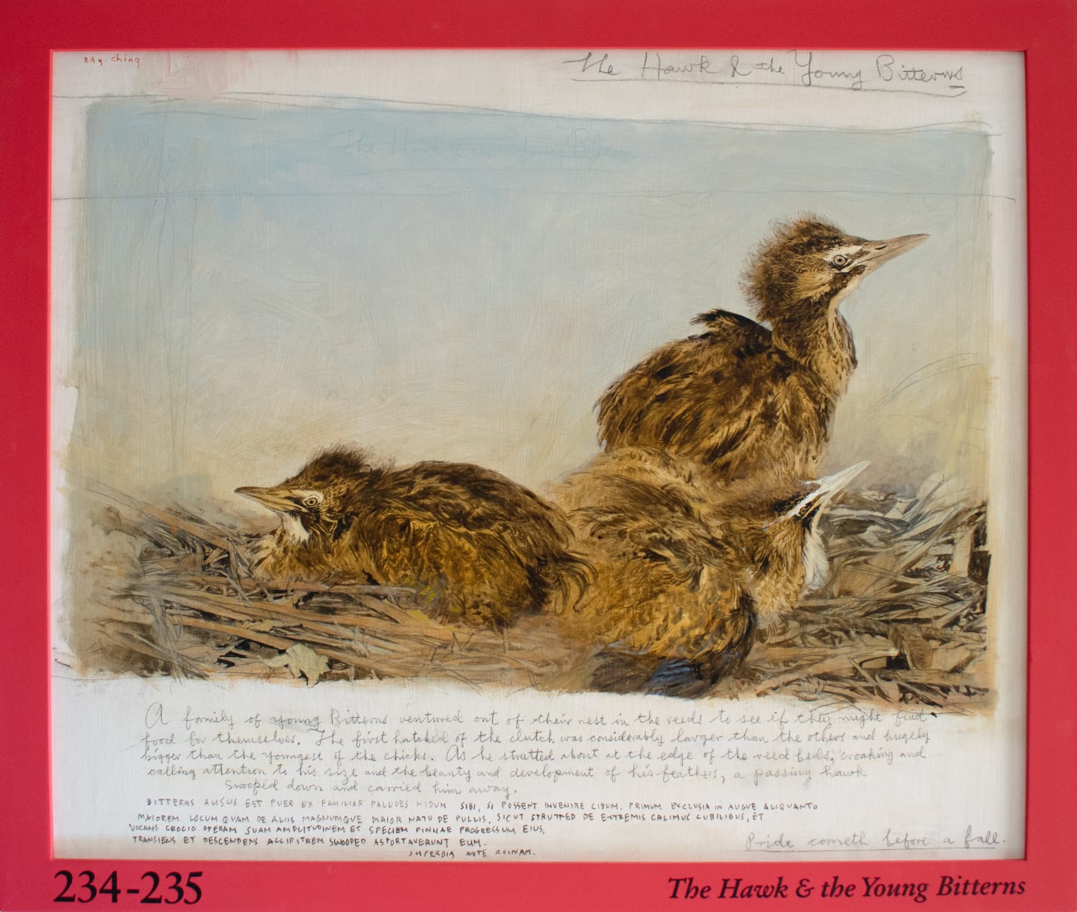 Ray Ching, P.234-235 The Hawk & the Young Bitterns