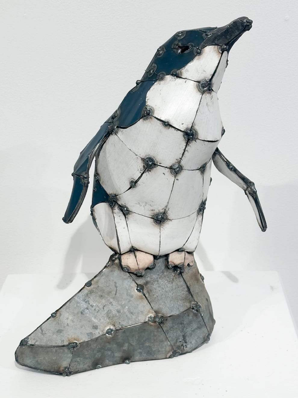 Hannah Kidd, Kororā - Little Blue Penguin, 2025