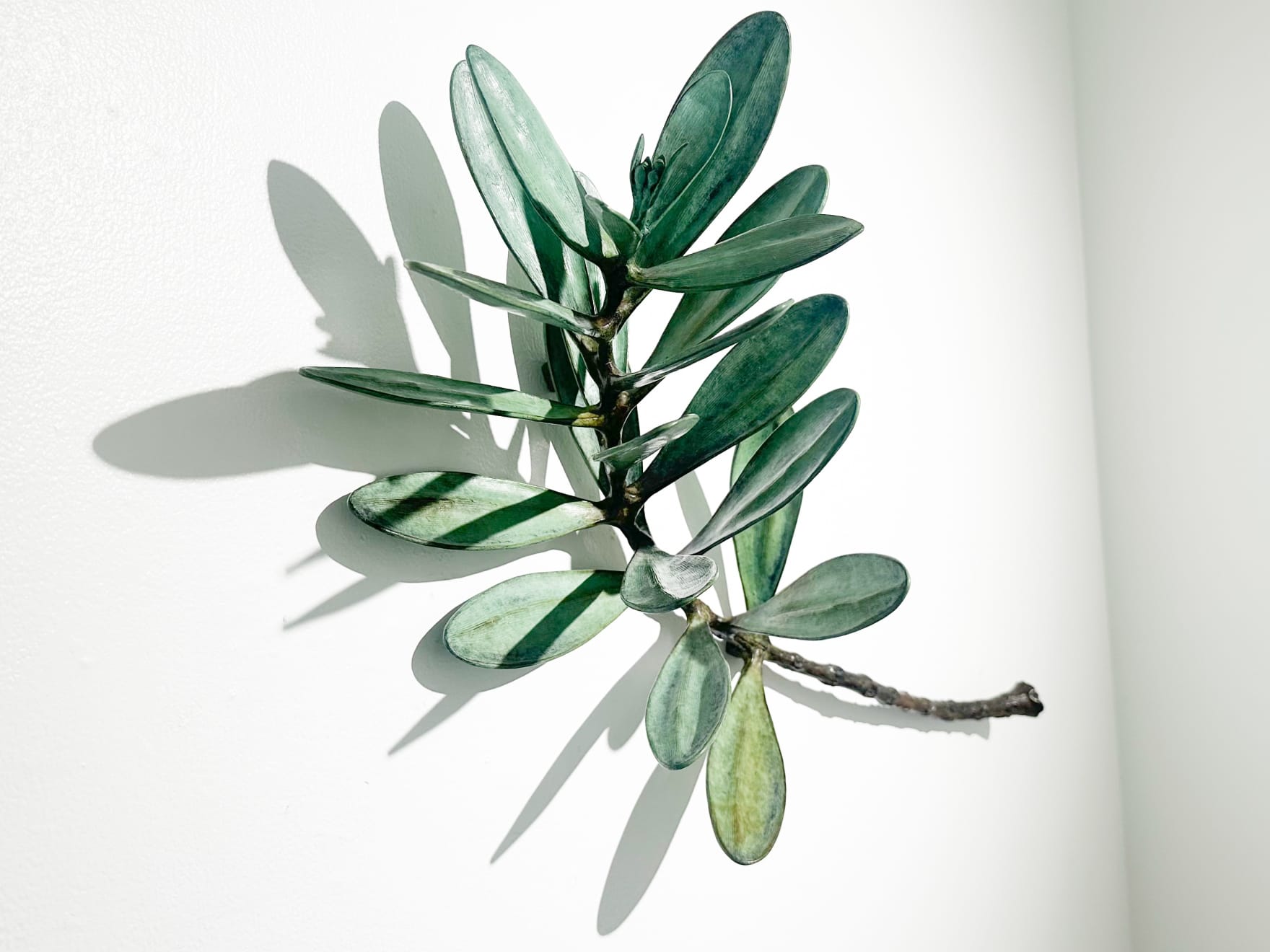 Jim Wheeler, Windfall Kauri , 2025