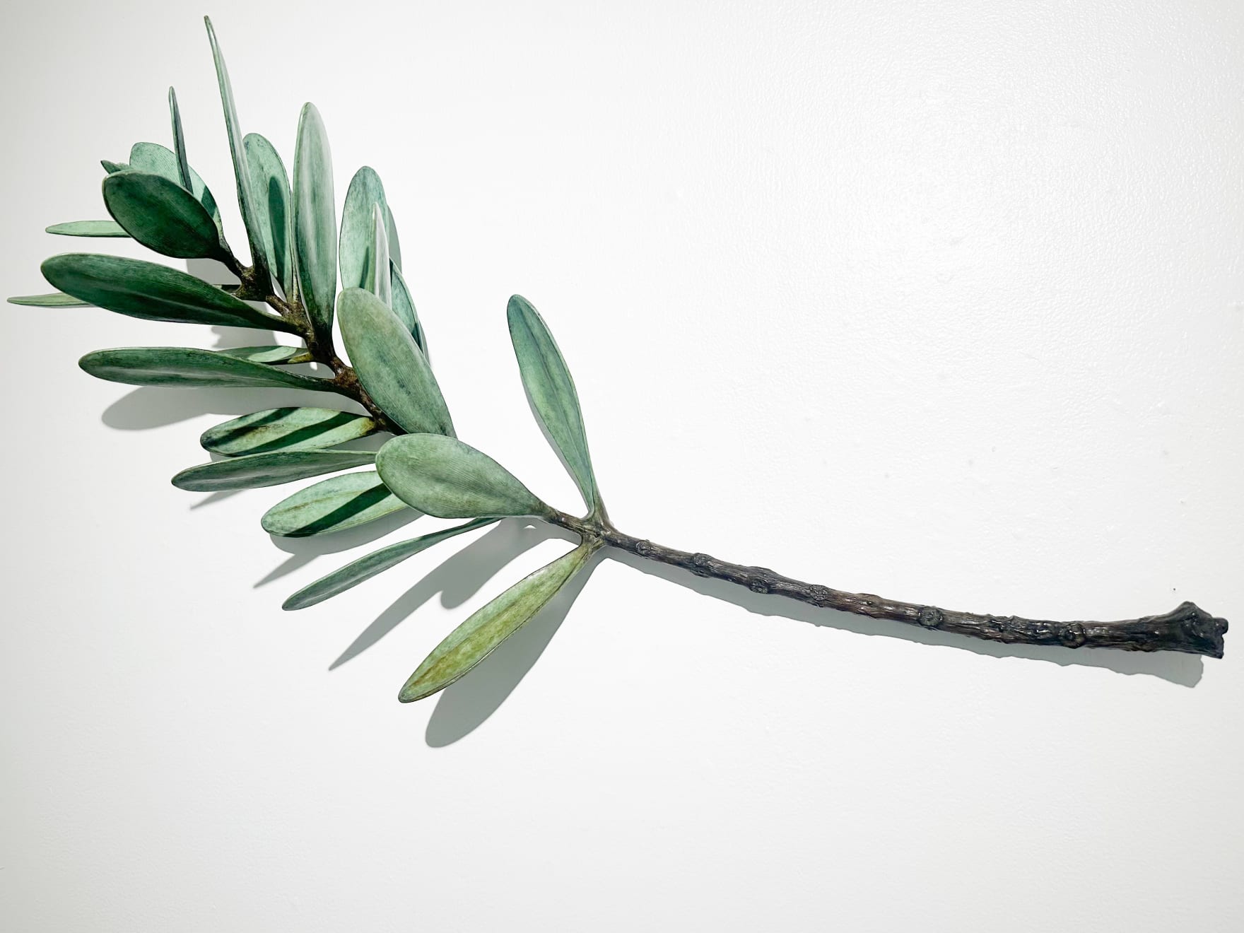 Jim Wheeler, Windfall Kauri , 2025