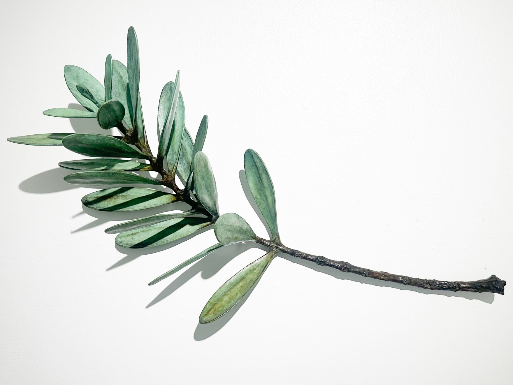 Jim Wheeler, Windfall Kauri , 2025