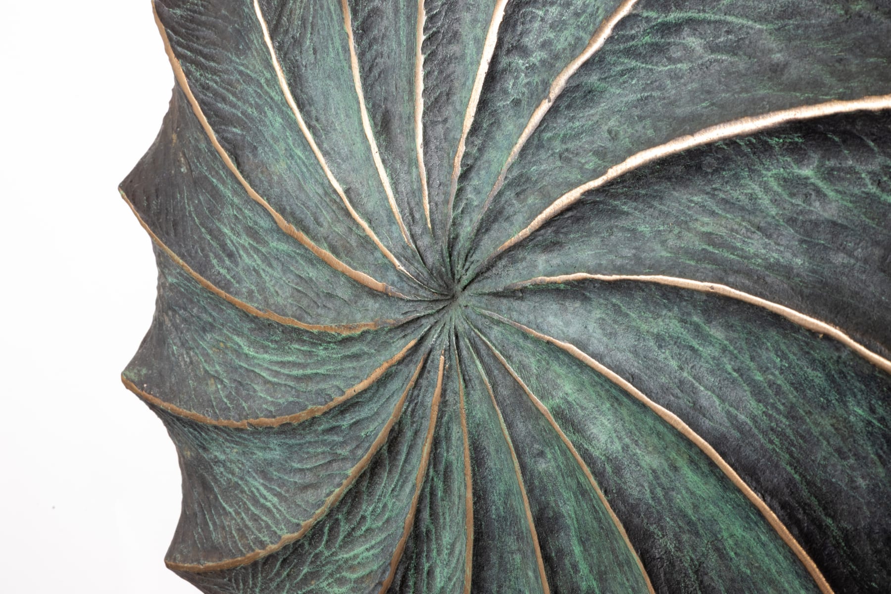 Matthew Williams, Nebula, 2025