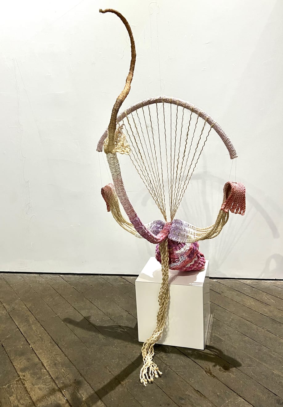 Kathie Halfin , Climbing Up My Spine, Blooming In My Thoughts,, 2024