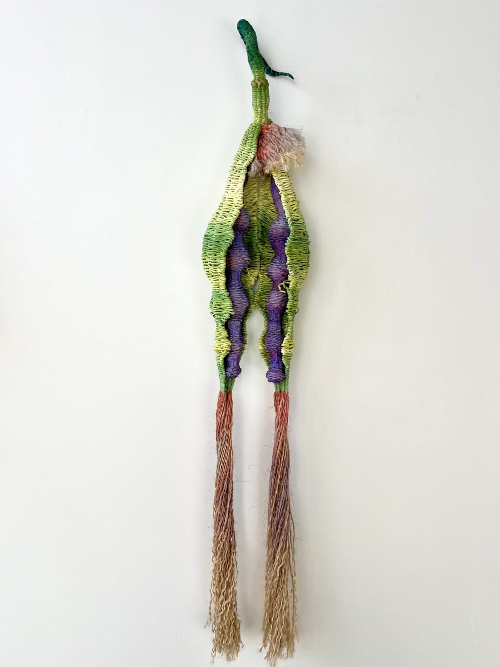 Kathie Halfin , MATURED, 2024