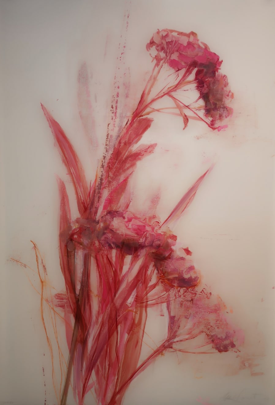 Madeleine Lamont, Pink Botanical 34, 2023