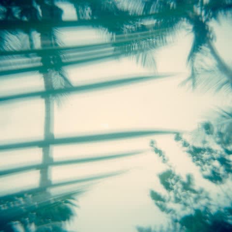 Bryce Krynski, tu paraiso, 2024