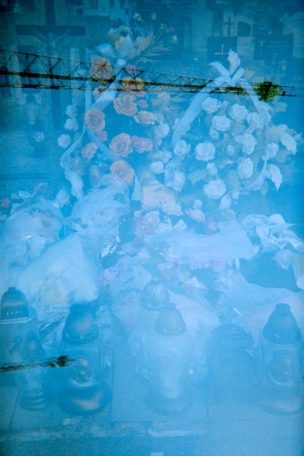 Bryce Krynski, Józef, 2025