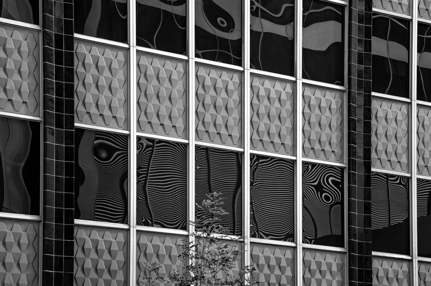 Steve Speer, Elveden Centre