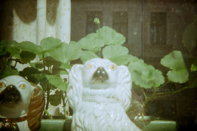 Bryce Krynski, dzok, 2025