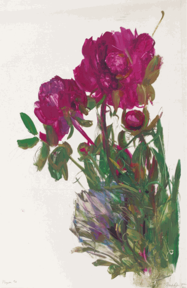 Madeleine Lamont, Magenta #2