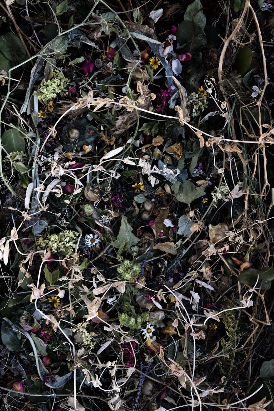 Rocio Graham, When I Think of Home #12, 2021