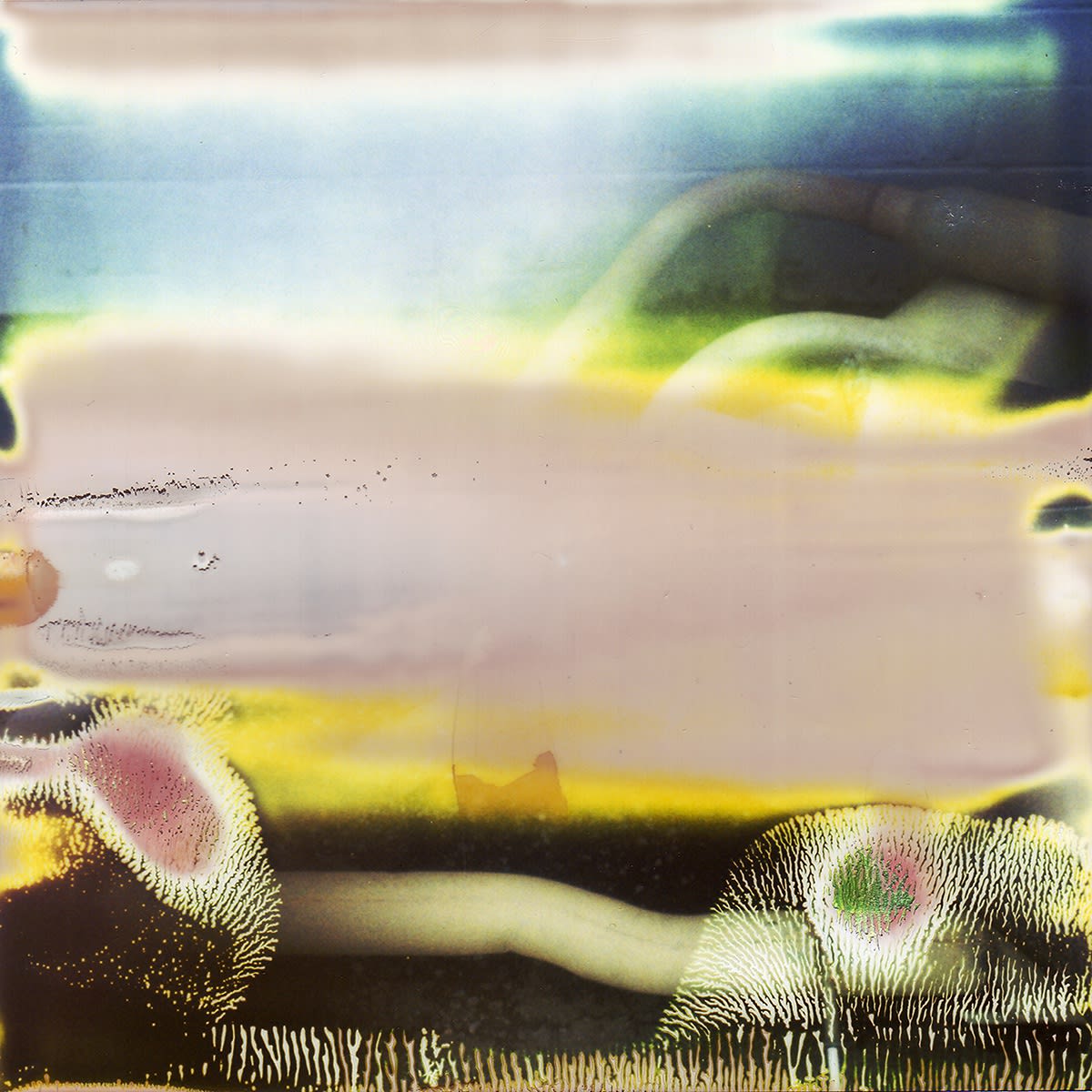 Bryce Krynski, mofle, 2024