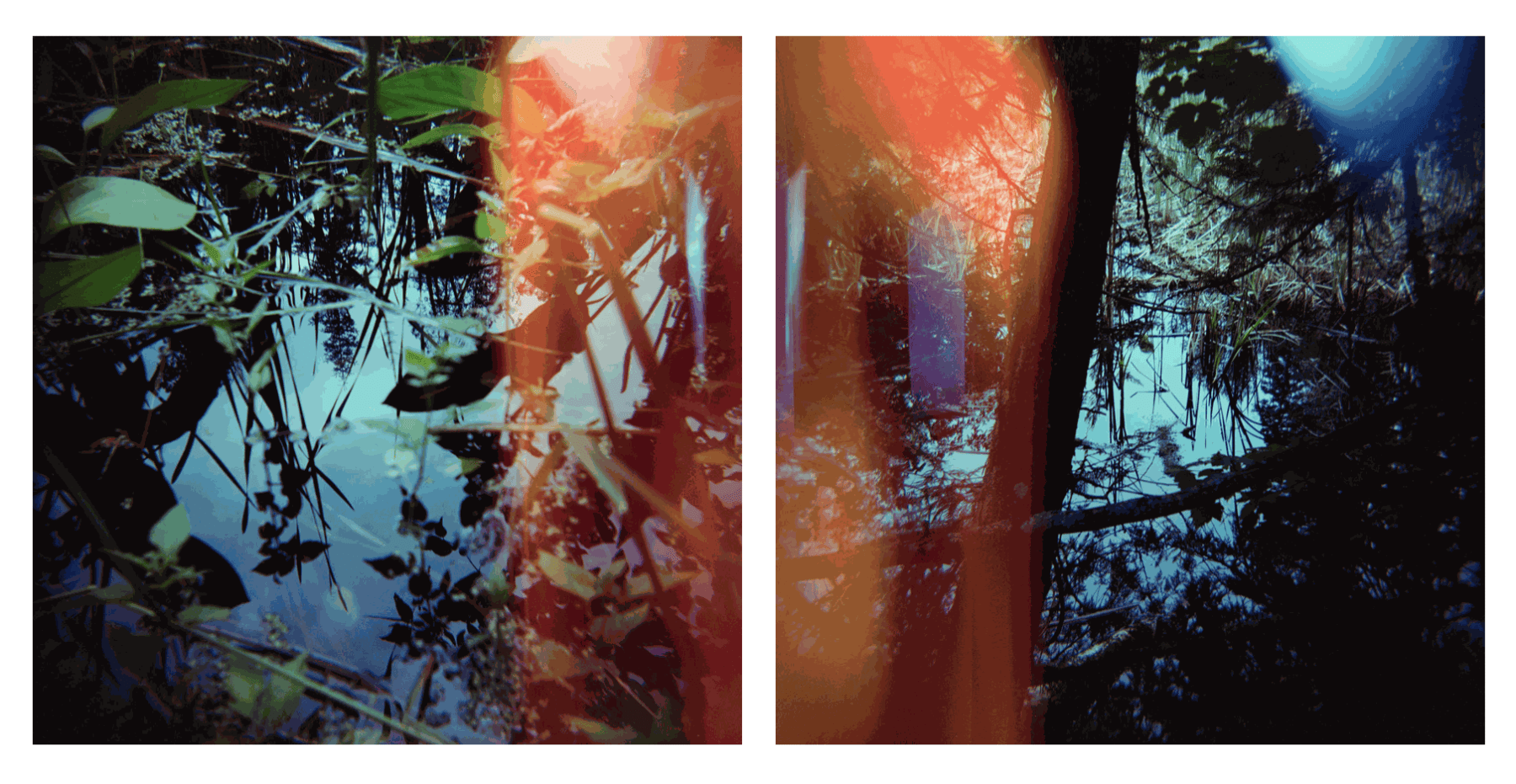 Bryce Krynski, think lightly of yourself & deeply of the world (diptych), 2024