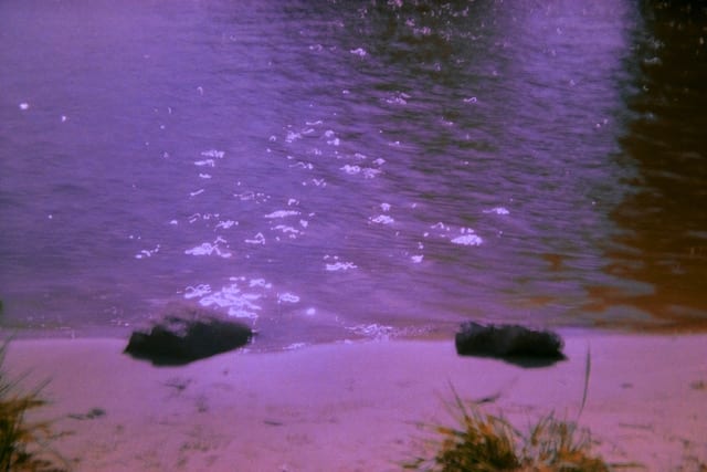 Bryce Krynski, Wisla, 2025