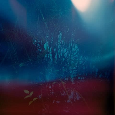 Bryce Krynski, swamped, 2024