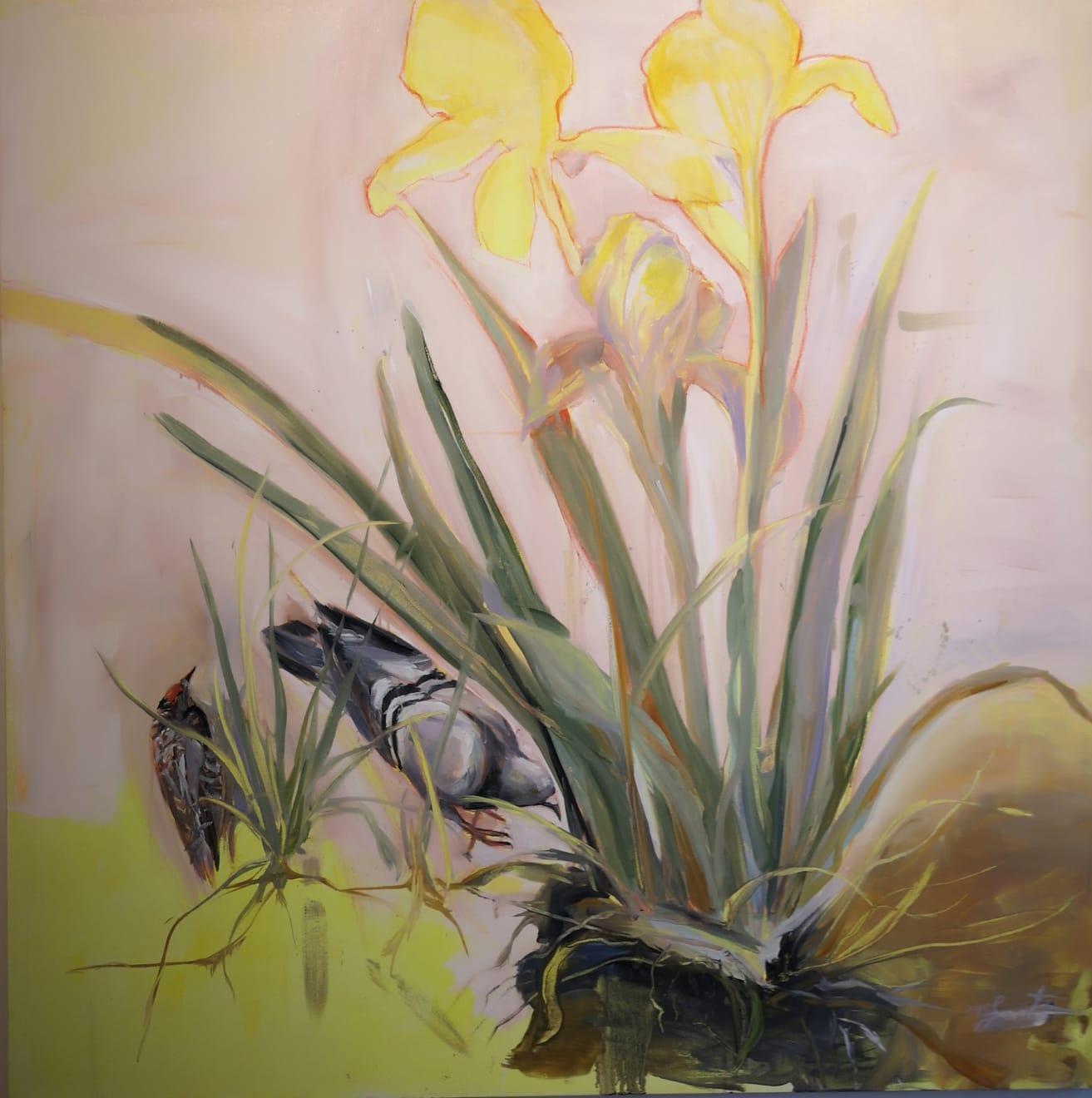 Madeleine Lamont, Lemon Iris with Pigeon and Friend 43, 2023