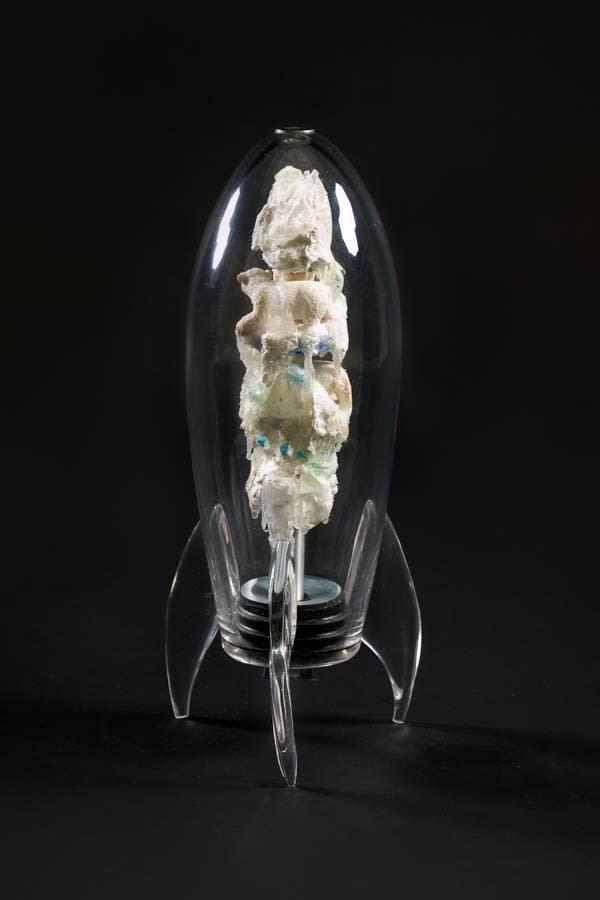 Phillip Bandura, Wildland Rockets : Polar Bear Cubs, 2024