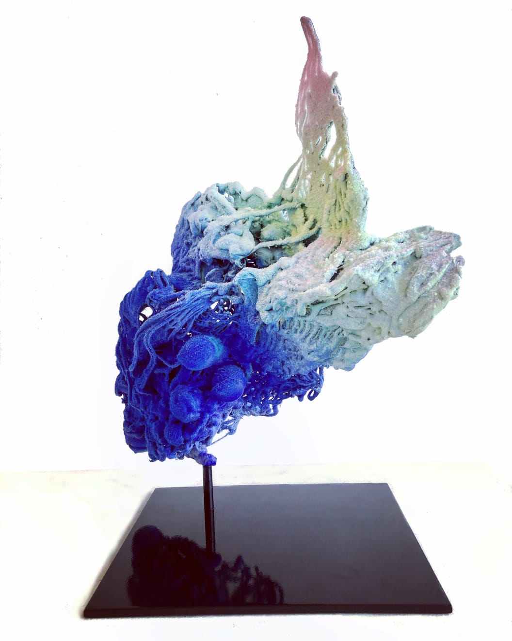 Radka Salcmannova, Radka 4, 2020