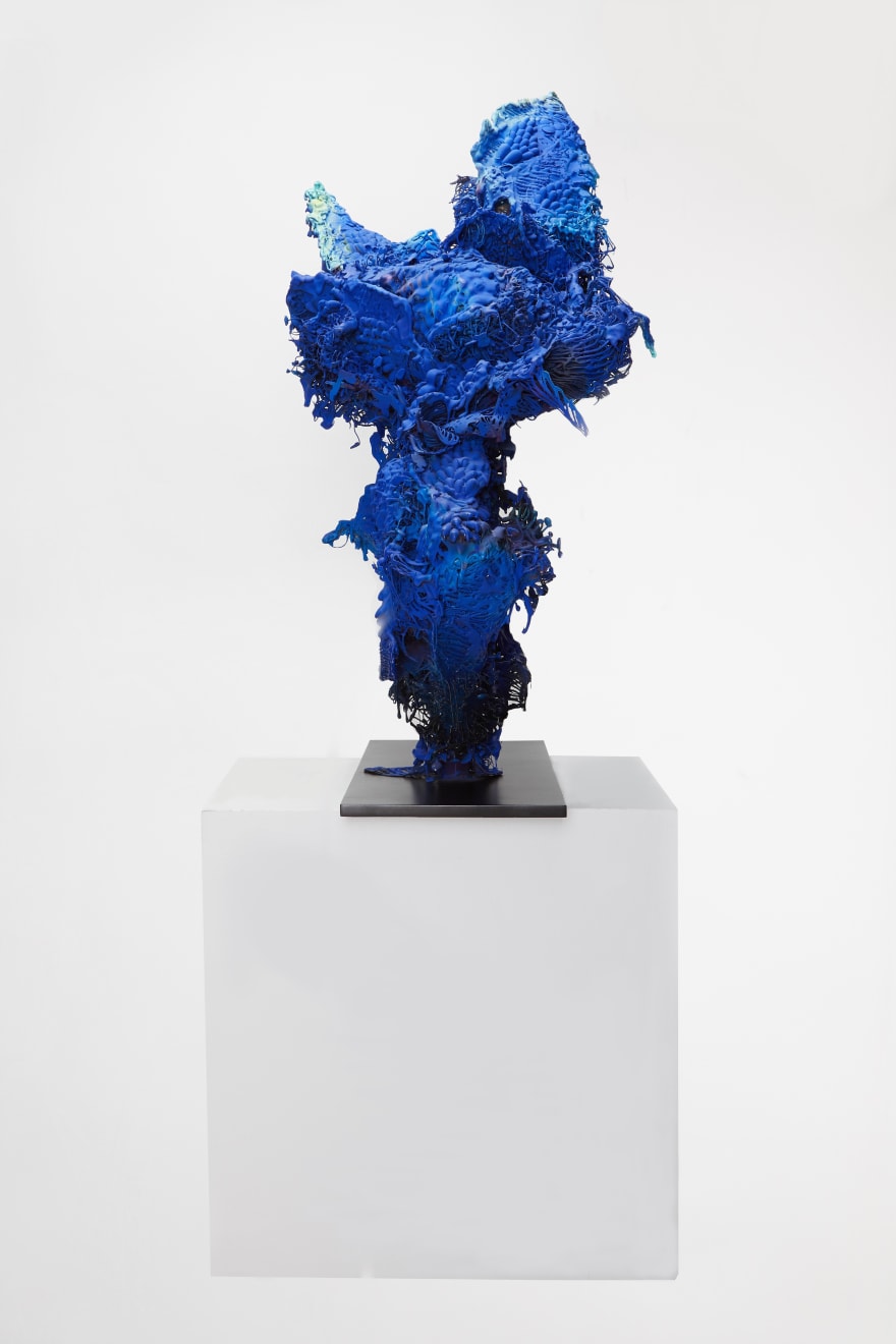 Radka Salcmannova, Radka 1, 2020