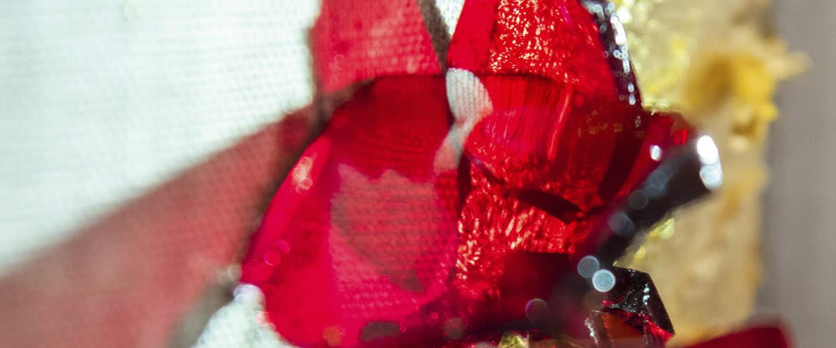 Anna Hanna Schwarz, Give Me This Red, 2021
