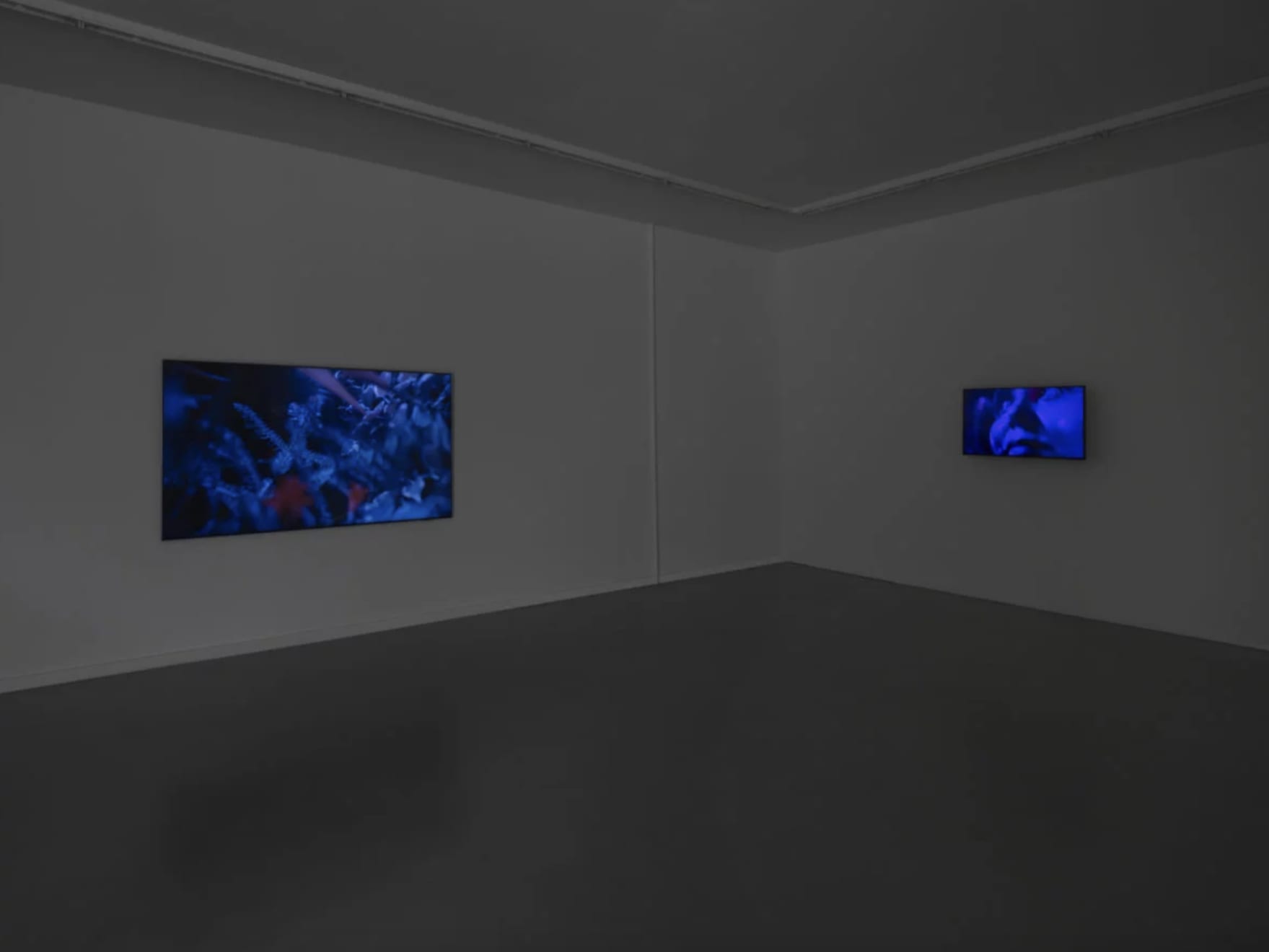 View of the video installation by Denis Savary, CEC, 2025 © Julien Gremaud