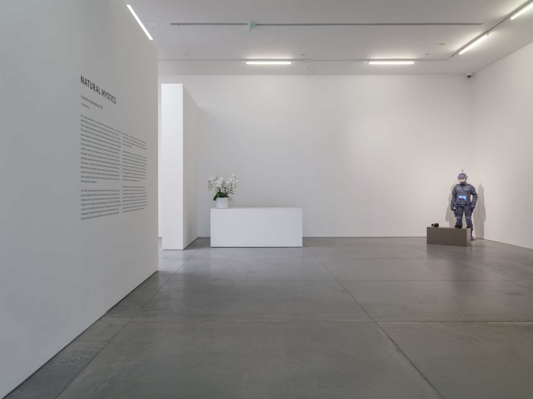 Natural Mystics, The Warehouse, Dallas, Installation view with work by Josh Kline, September 27, 2025 – January 31, 2026 Photo:...