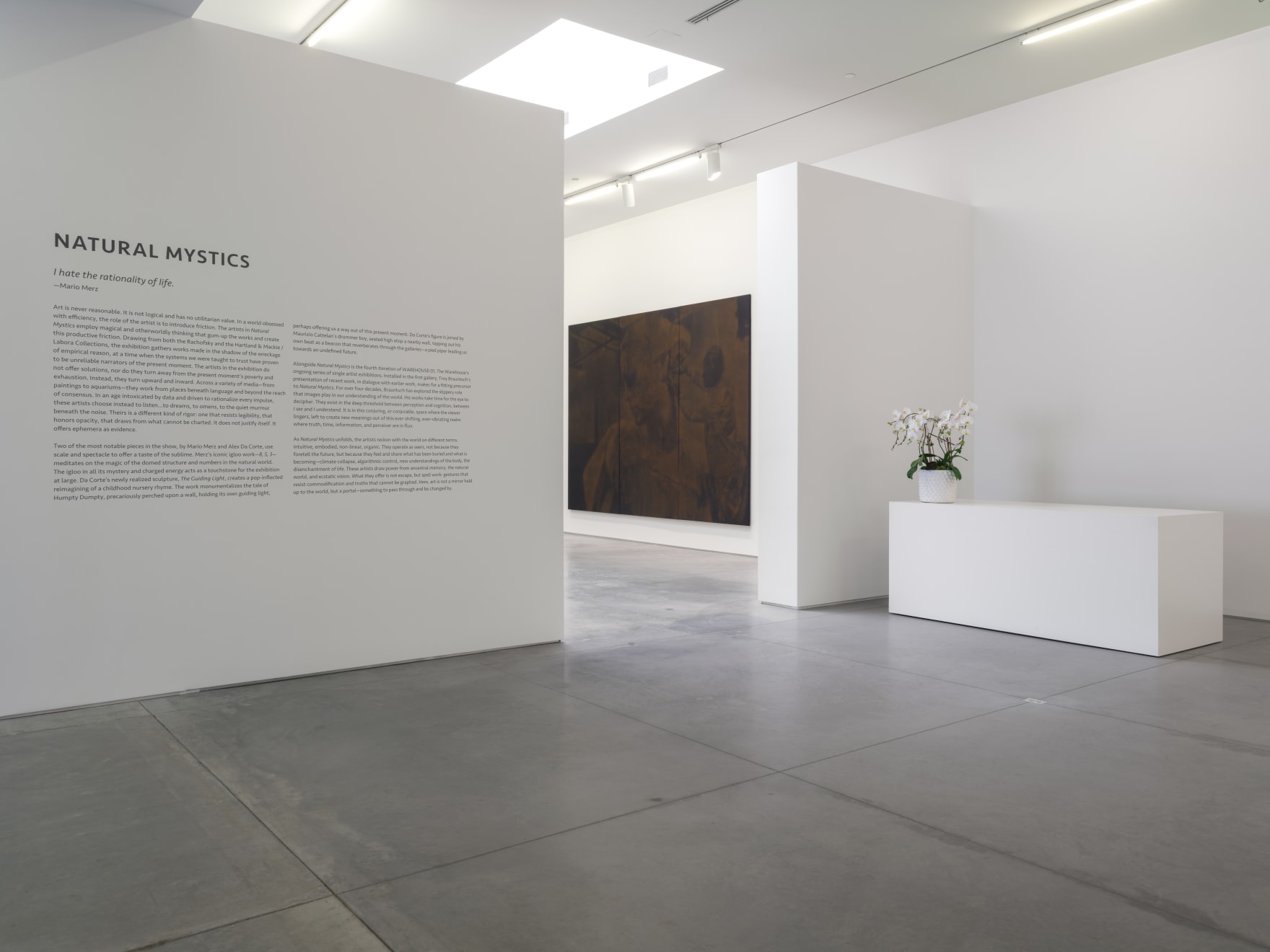 Natural Mystics, The Warehouse, Dallas, Installation view with work by Josh Kline, September 27, 2025 – January 31, 2026 Photo:...