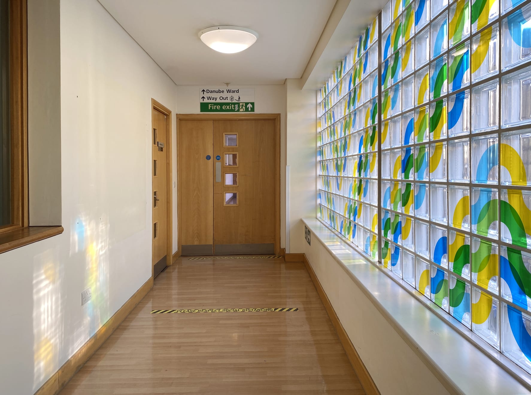 Waves of Light, 2021